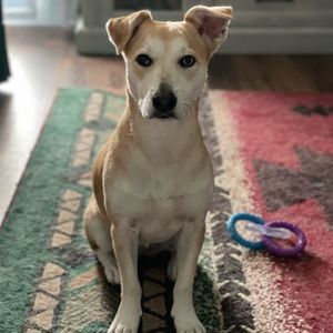 Meet your Posher, Lyz